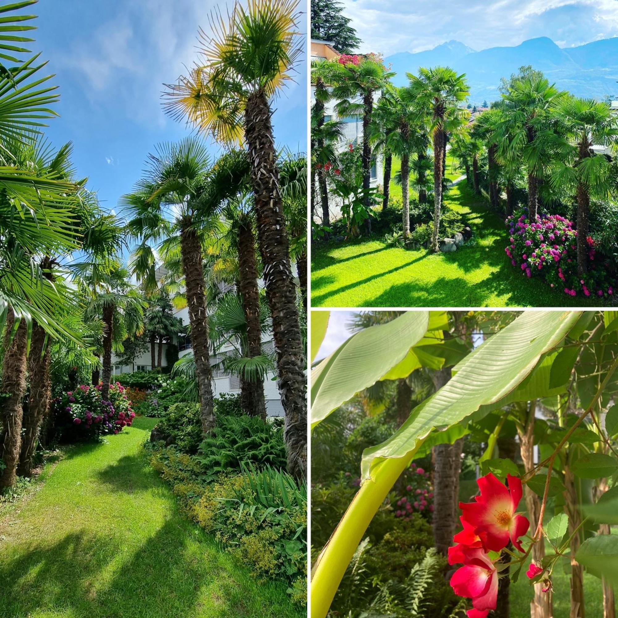 Kroellnerhof ลานา ภายนอก รูปภาพ